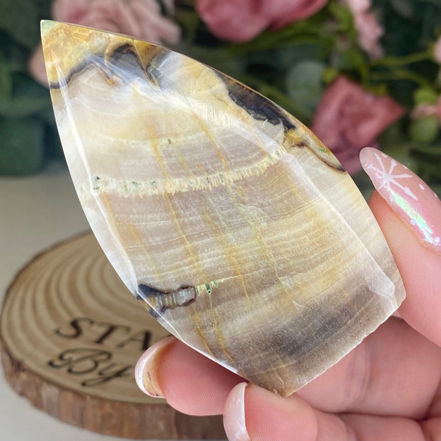 Petrified Wood Teardrops