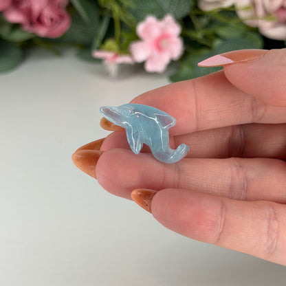 Aquamarine Dolphin