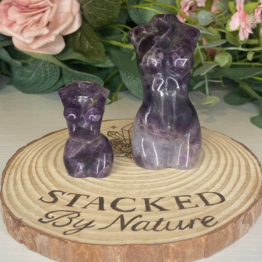 Amethyst Lady Bodies