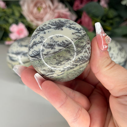 Dendritic Green Picture Jasper Spheres