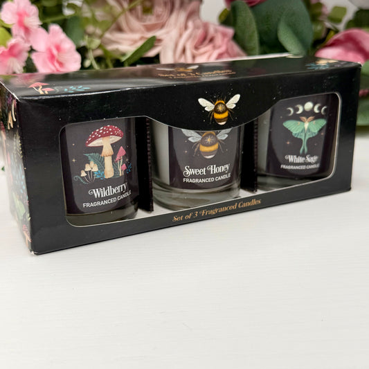 Dark Forest Candle Set – Set of 3 (Wild Berry, Sweet Honey & White Sage)