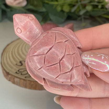 Himalayan Rhodonite Turtles