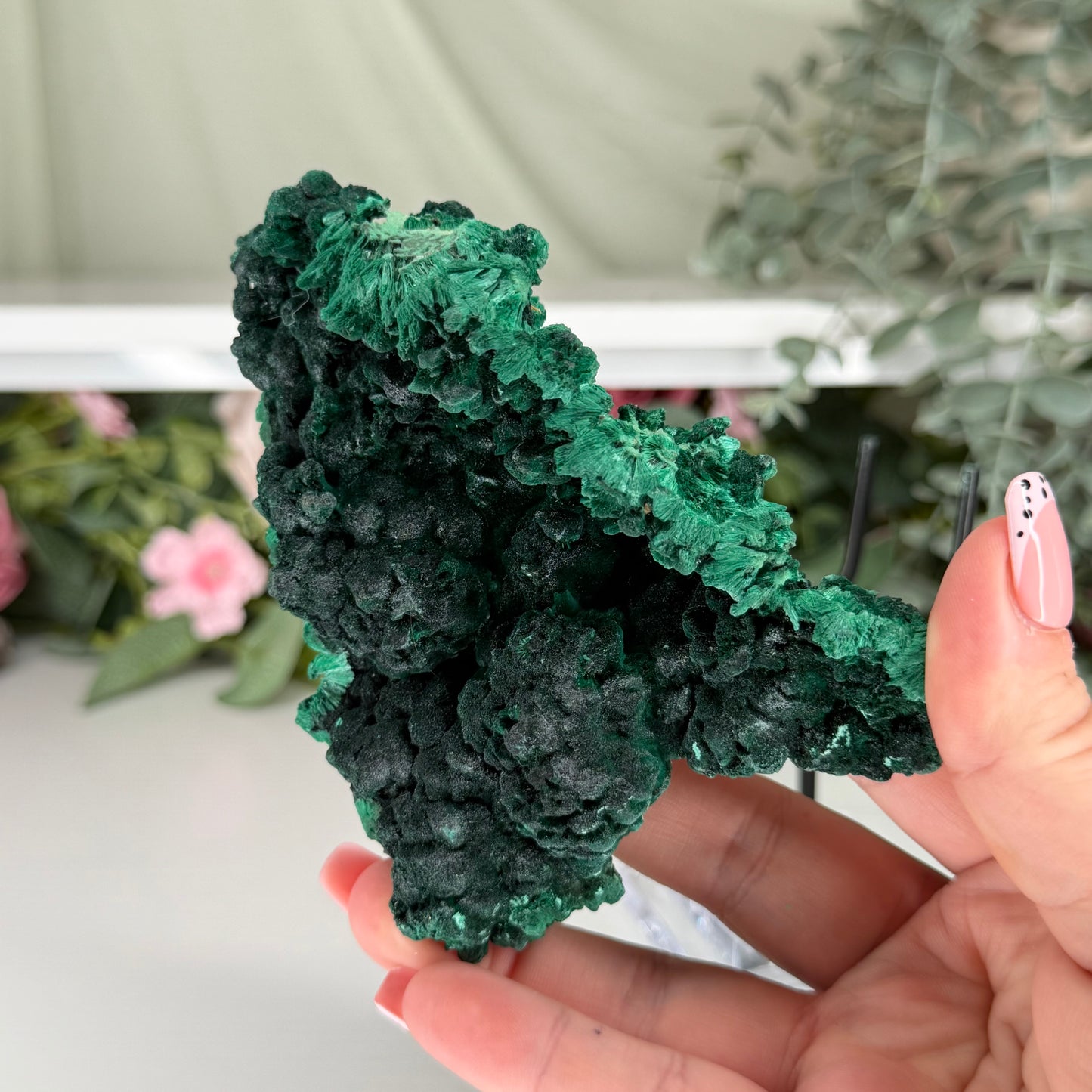 Velvet Malachite With Stand