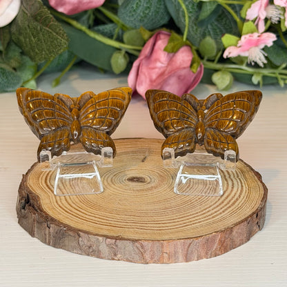 Tigers Eye Butterfly