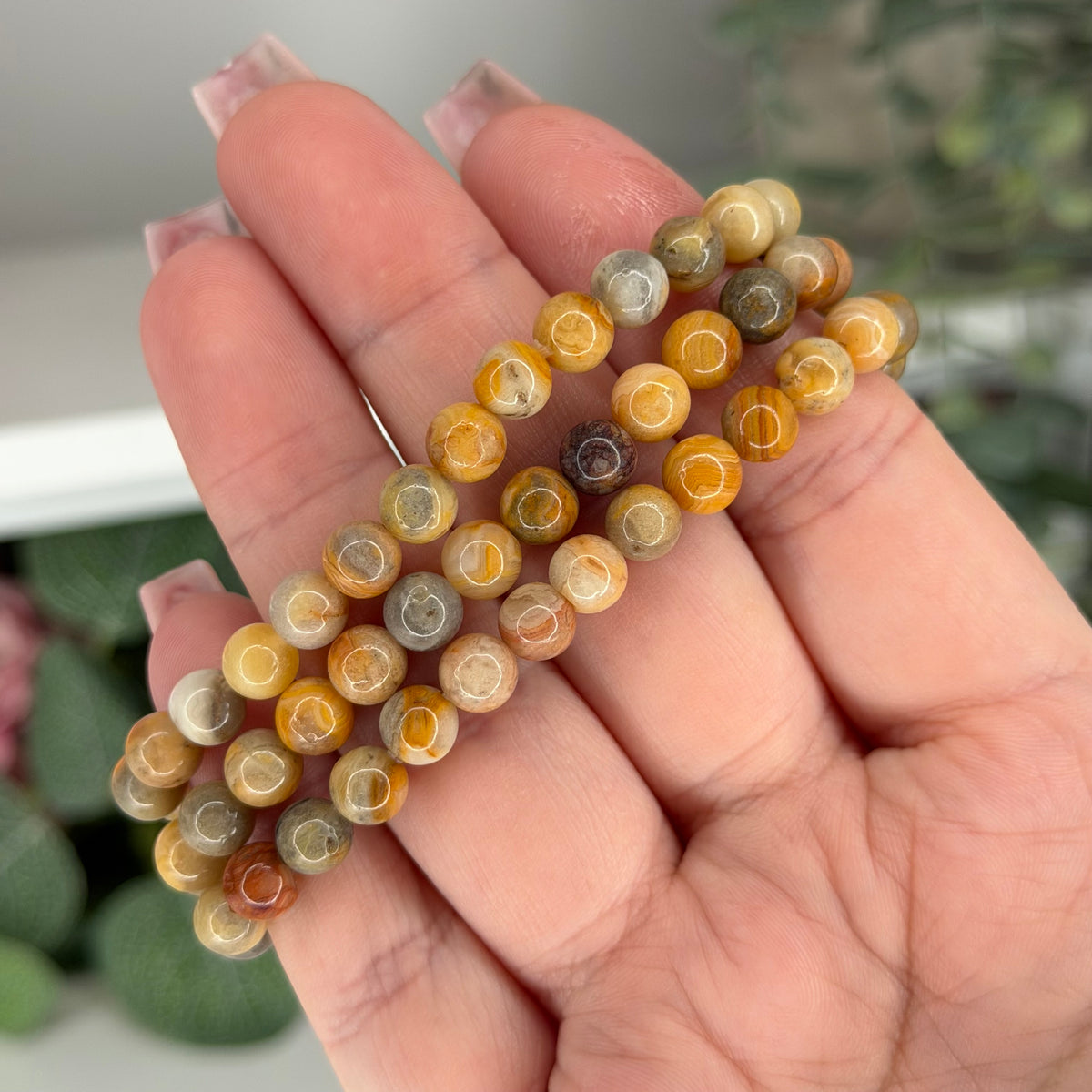 Crazy Lace Agate Bracelet (6mm)