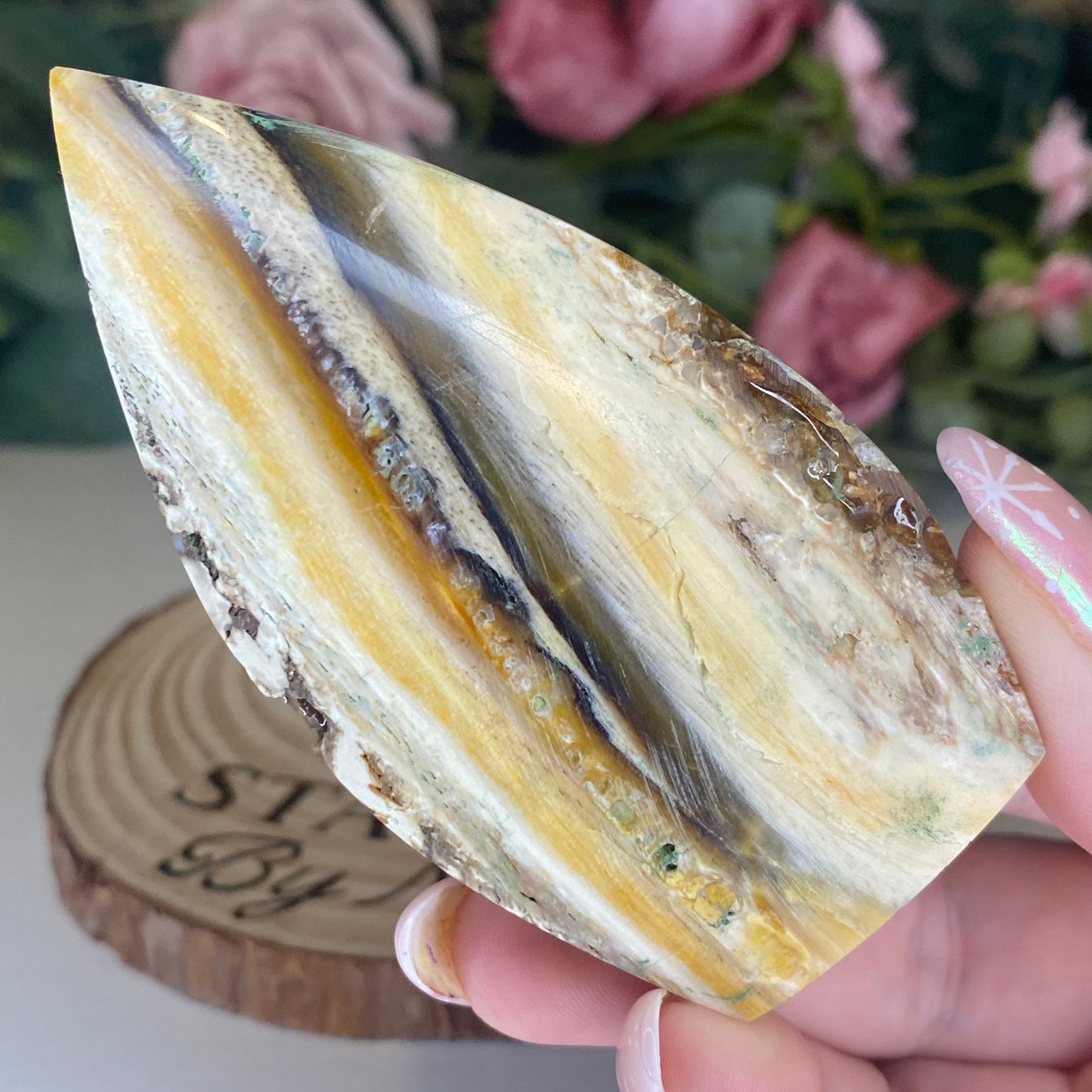 Petrified Wood Teardrops