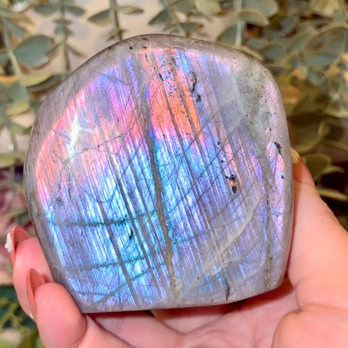 Labradorite Freeforms