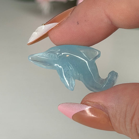 Aquamarine Dolphin