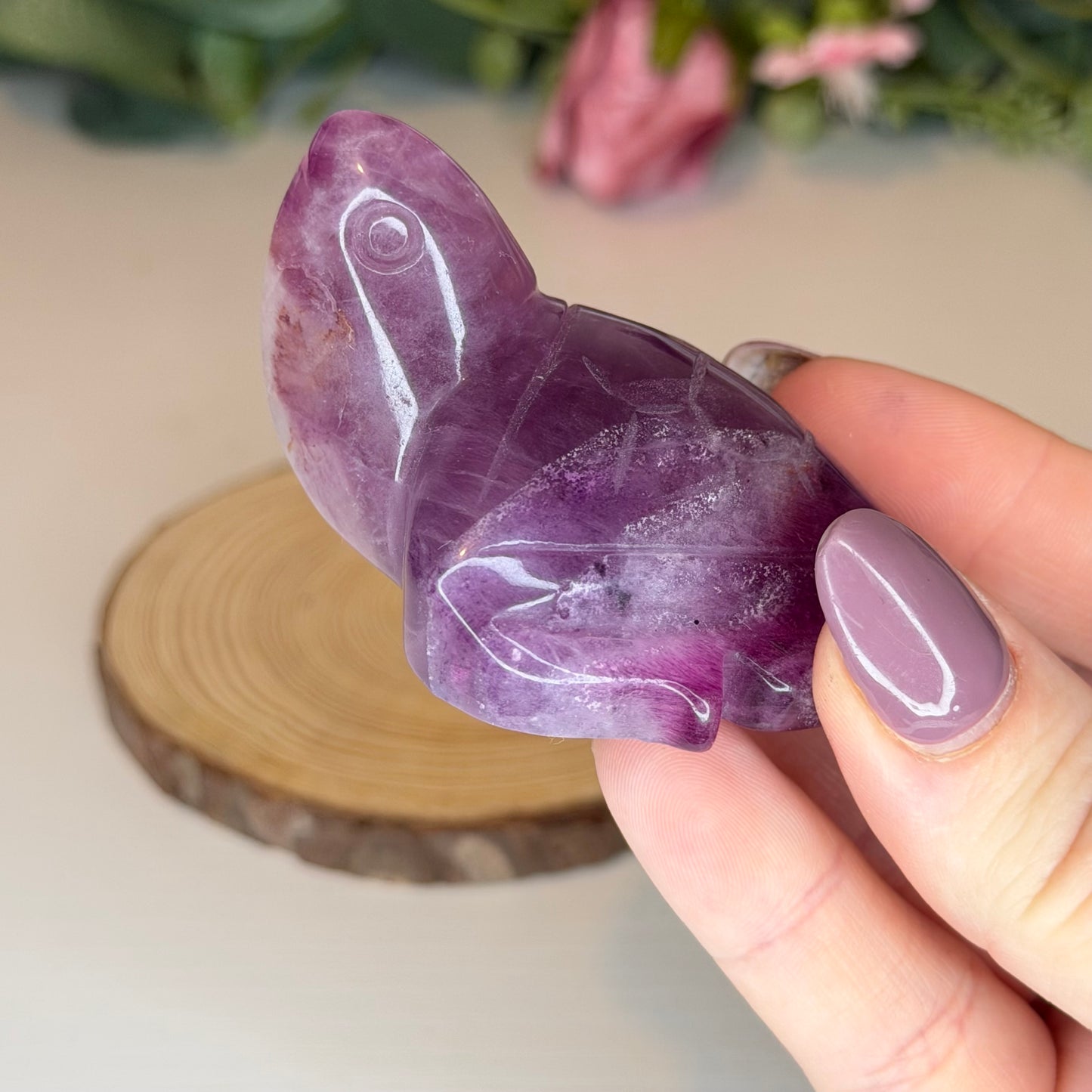 Fluorite Turtles