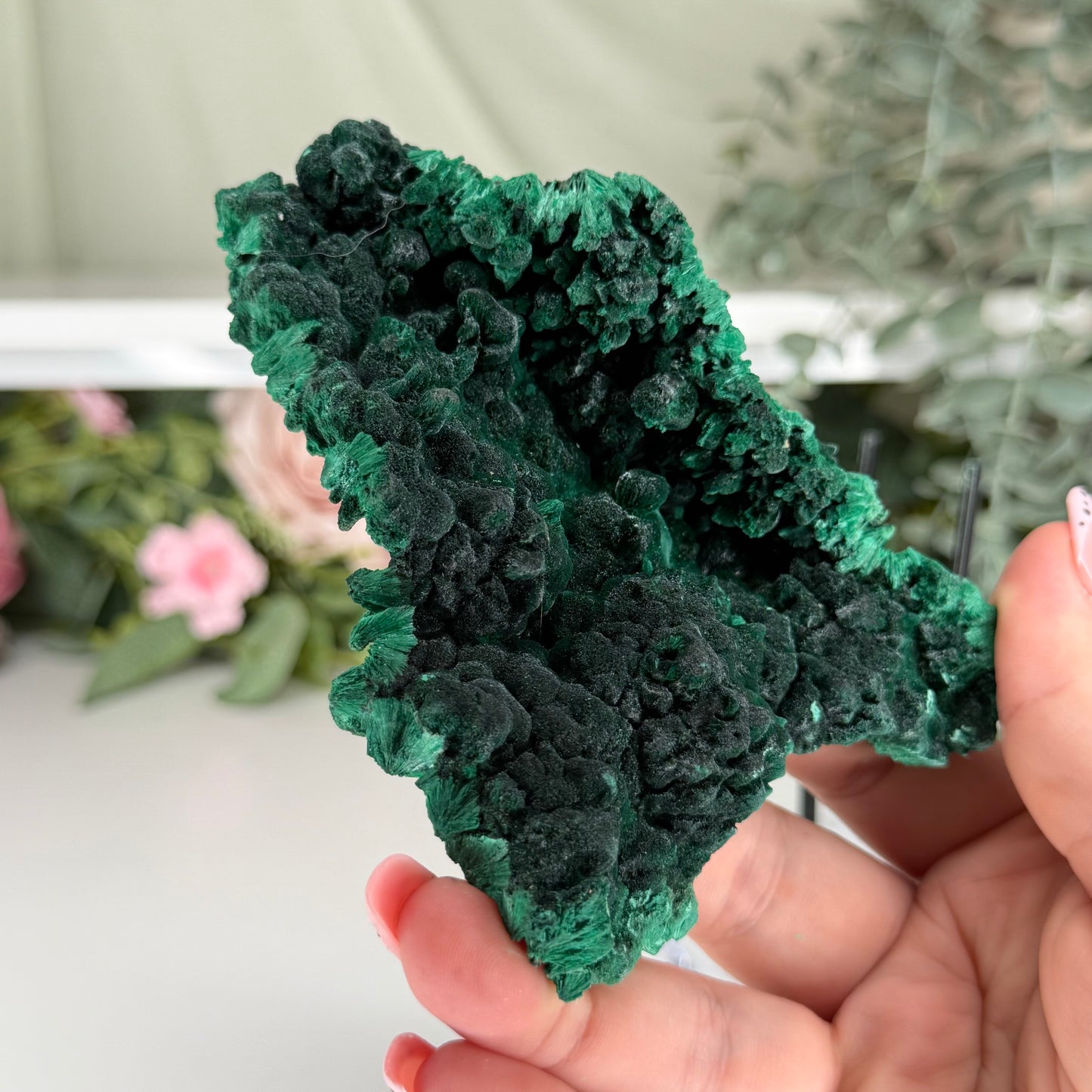 Velvet Malachite With Stand