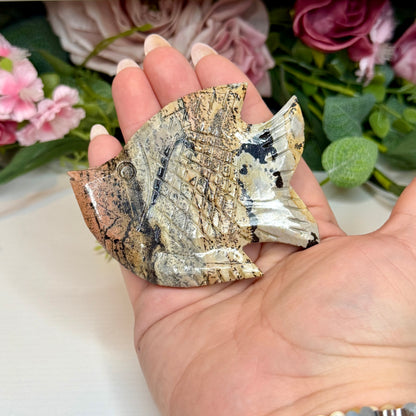 Picture Jasper Fish