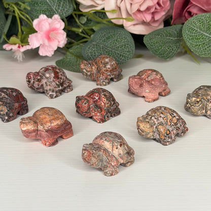 Leopard Skin Jasper Tortoise