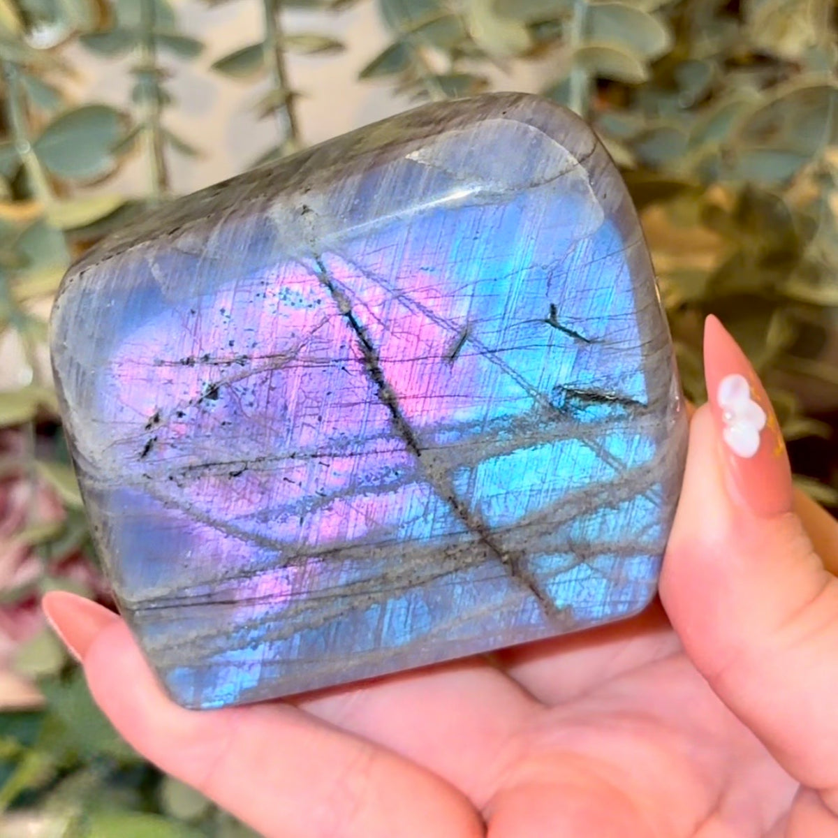 Labradorite Freeforms