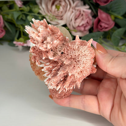 Pink Mordenite On Stilbite