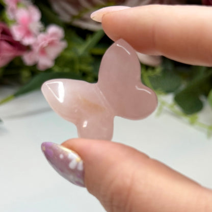 Small 3D Butterflies (Intuitively Chosen)