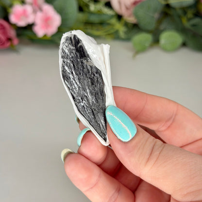 Raw Black Kyanite