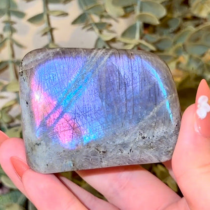 Labradorite Freeforms