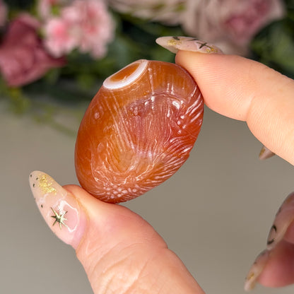 Gobi Agate Tumbles