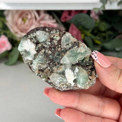 Green Apophyllite With Mordenite AN