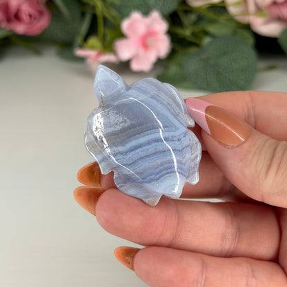 Blue Lace Agate Turtles