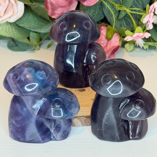 Black Rose Fluorite Mushrooms