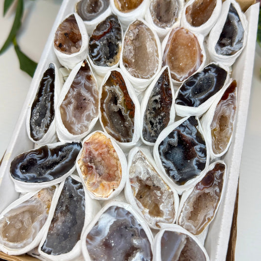 Brazilian Agate Geode (Intuitively Chosen)