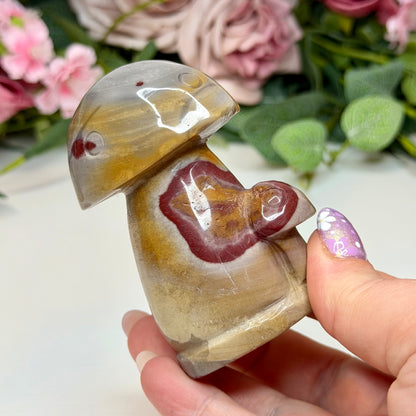 Polychrome Jasper Mushy