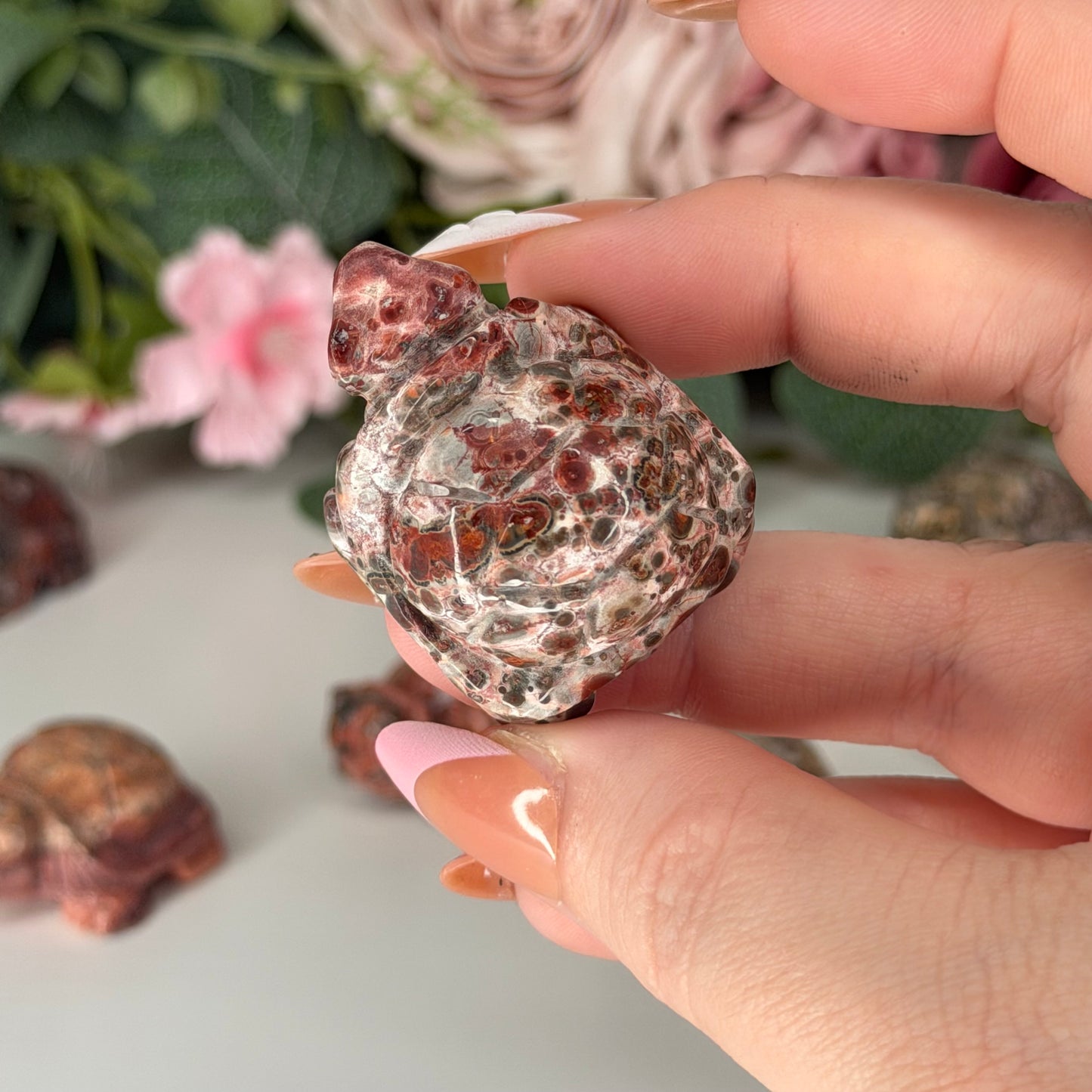 Leopard Skin Jasper Tortoise