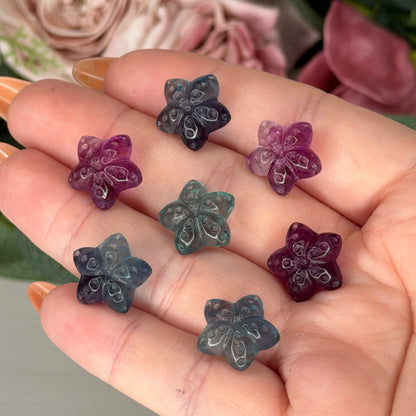 Mini Fluorite Starfish