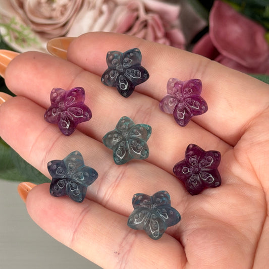 Mini Fluorite Starfish