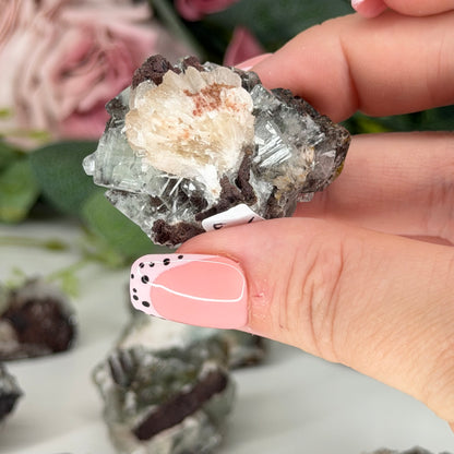 Green Apophyllite With Mordenite