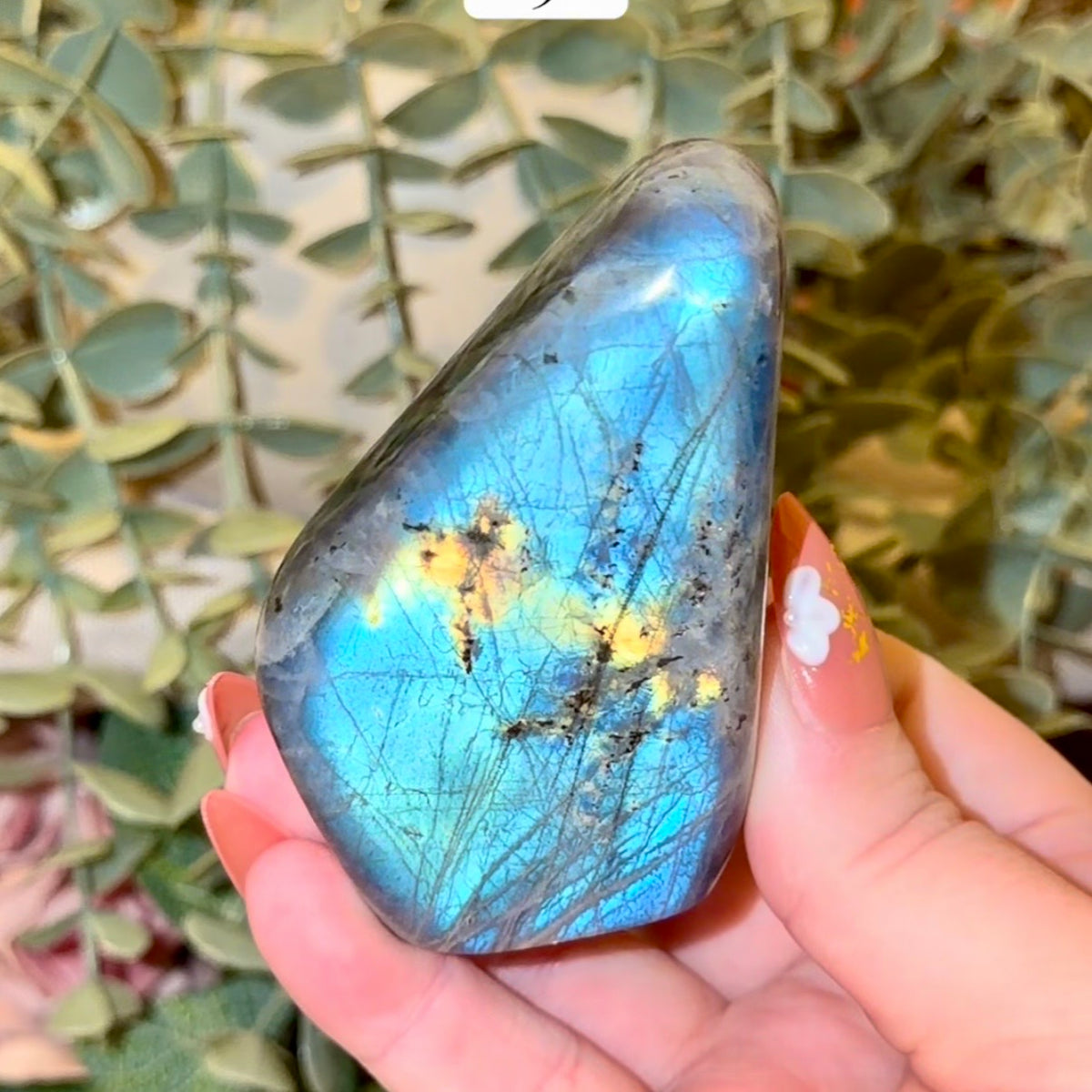 Labradorite Freeforms
