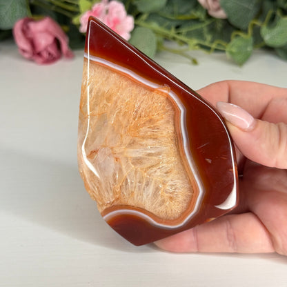 Carnelian Teardrops