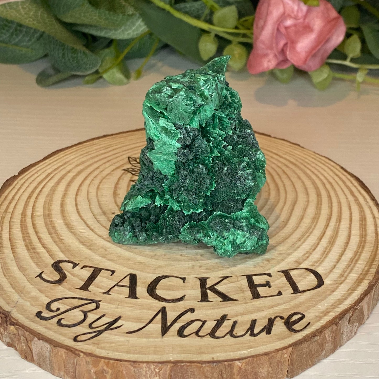 Velvet Malachite