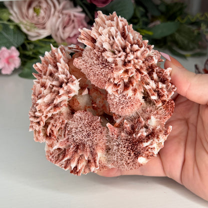 Pink Mordenite On Stilbite