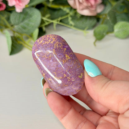 Phosphosiderite Palmstones