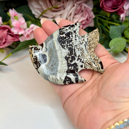 Picture Jasper Fish
