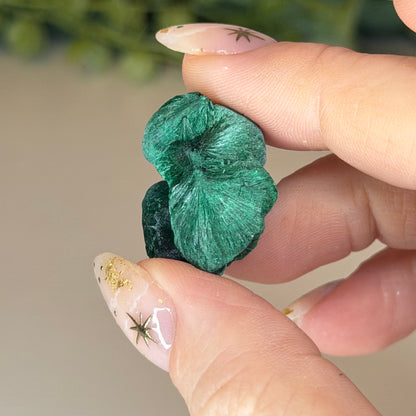 Botryoidal Malachite