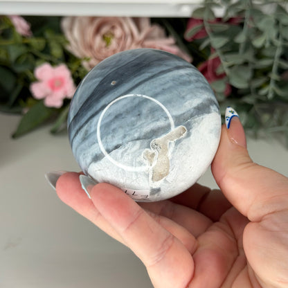 Blue Petrified Wood Spheres