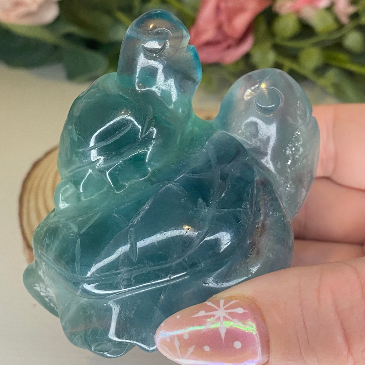 Fluorite Turtles with Sea Creatures
