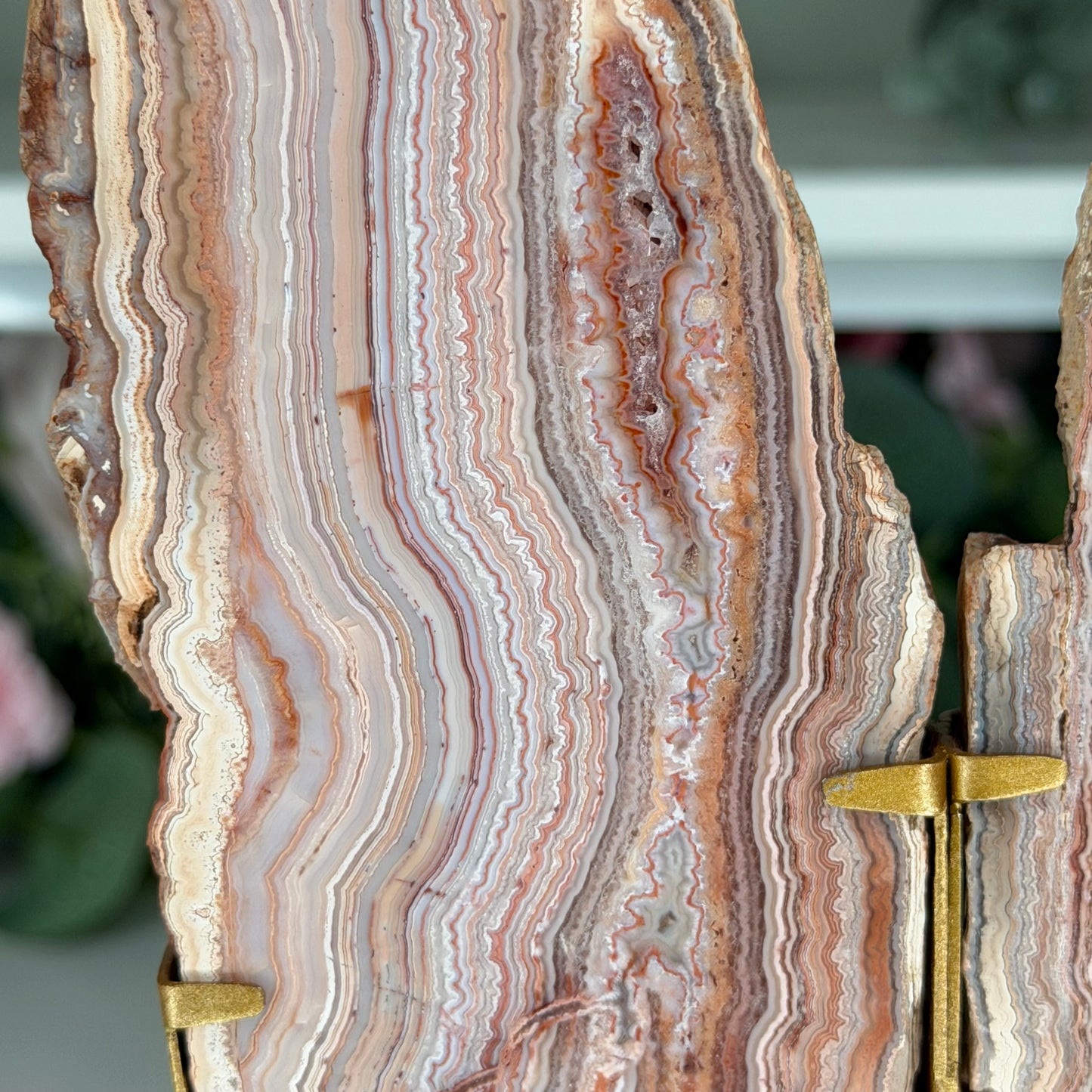 Pink Crazy Lace Agate Slab Pair On Stand