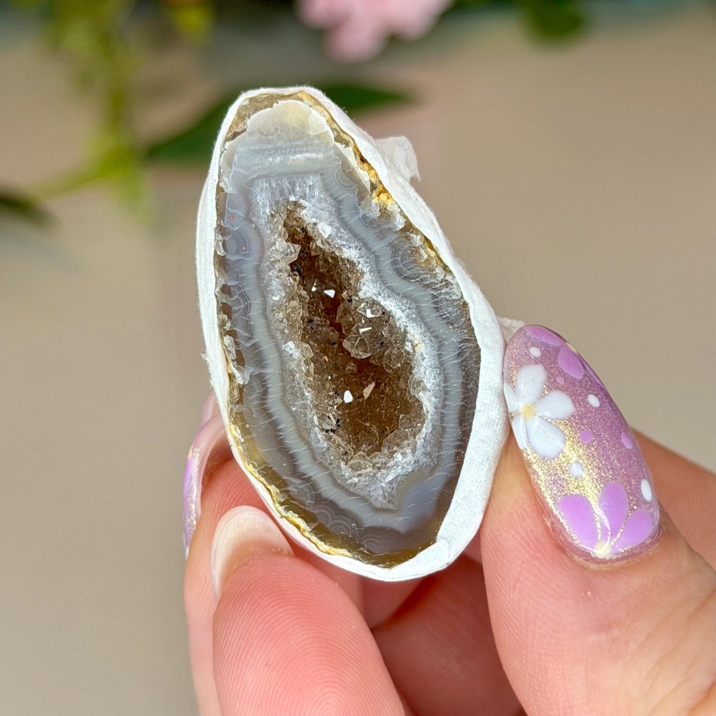 Brazilian Agate Geode (Intuitively Chosen)