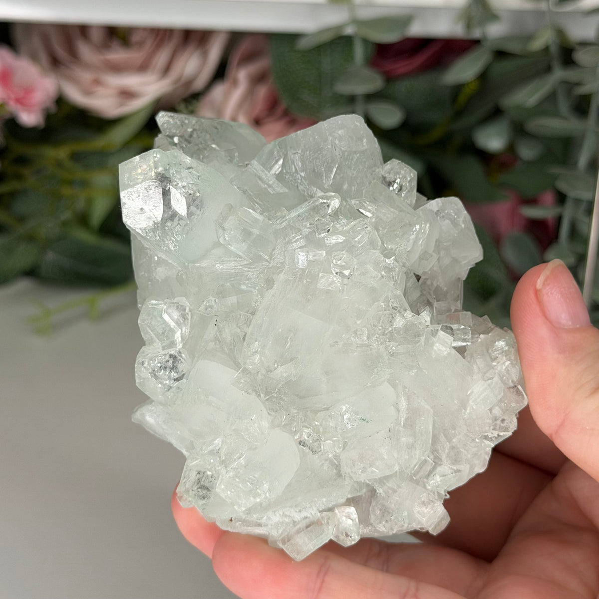 Green Apophyllite With Pink Chalcedony O
