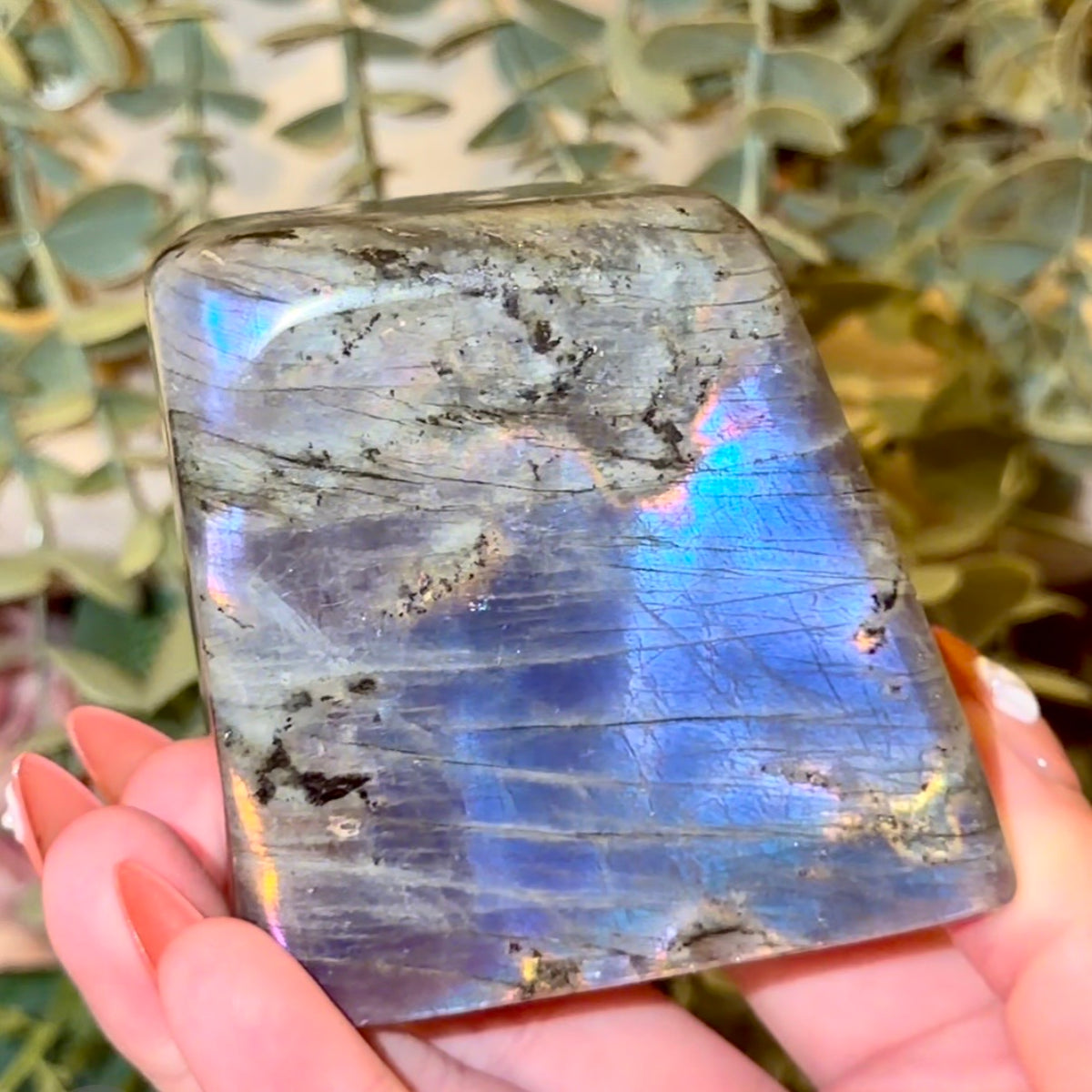 Labradorite Freeforms
