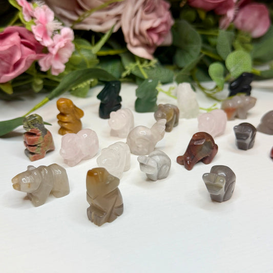 Mini Animal Carvings (Intuitively Chosen)