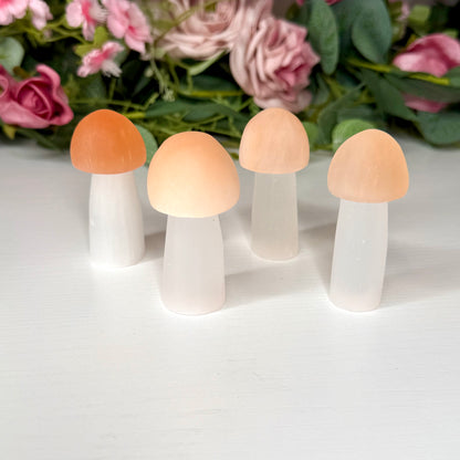 Satin Spar Mushrooms