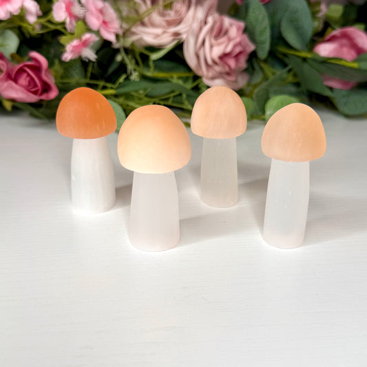 Satin Spar Mushrooms