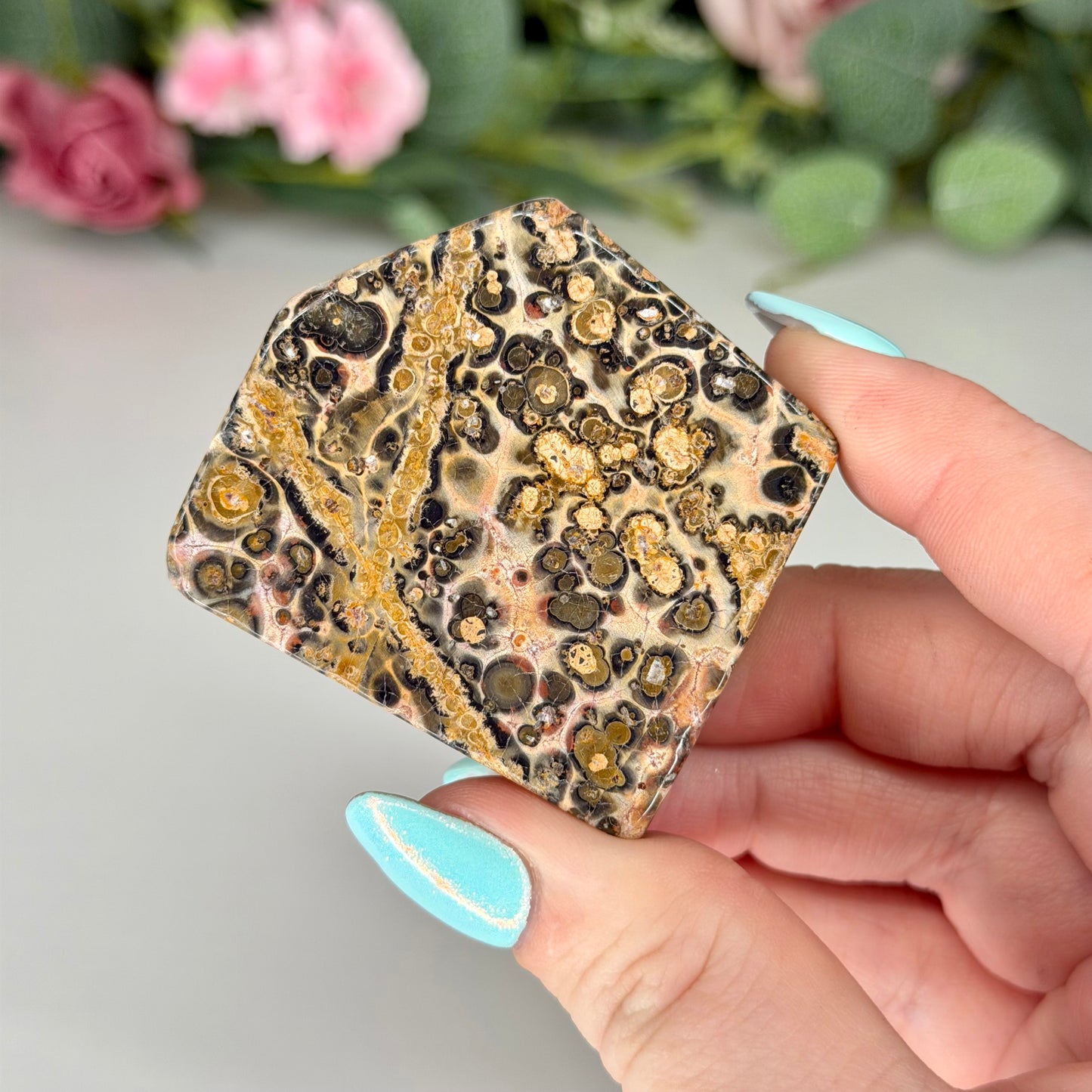 Leopard Skin Jasper Freeforms
