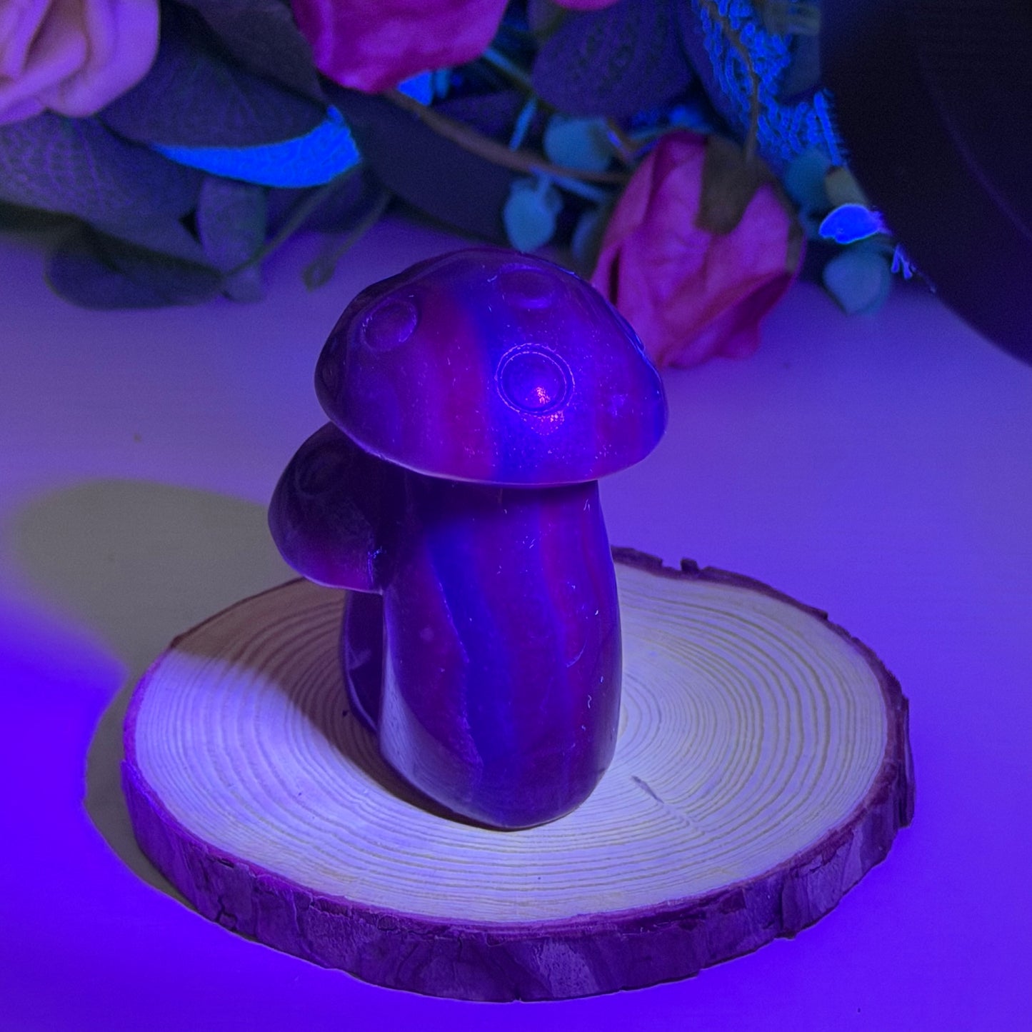 Black Rose Fluorite Mushrooms