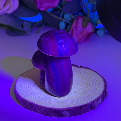 Black Rose Fluorite Mushrooms